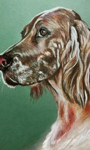 Portret brązowo-białego psa na zielonym tle. Portret brązowo-białego psa na zielonym tle.