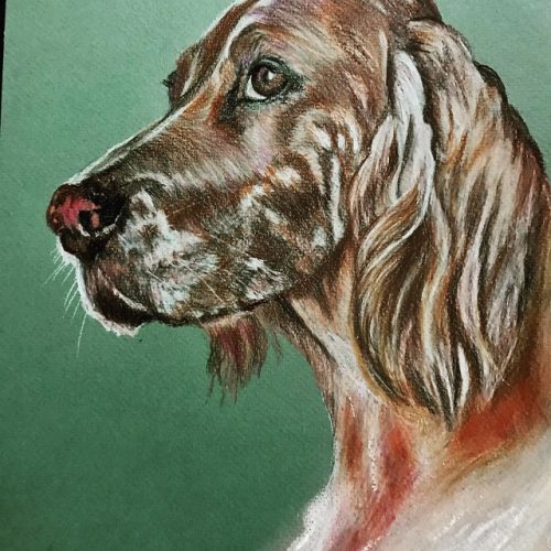 Setter nr 1