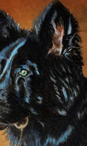 cropped-hero-image-1.jpg